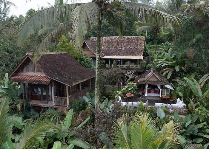 Nienté Bali
