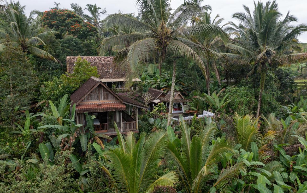 Nienté Bali * Penebel