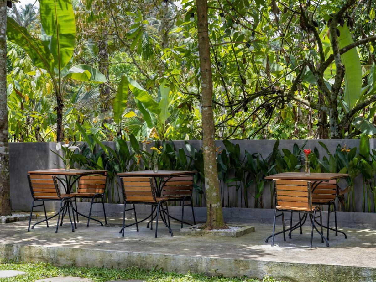 Nienté Bali Lodge Penebel